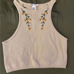 Zara Beige Floral Embroidered Crop Top